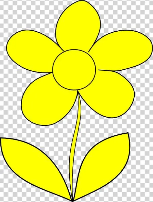 Matt Flower