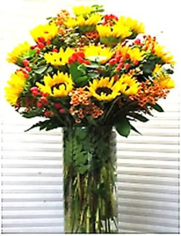 Sunflowers Png