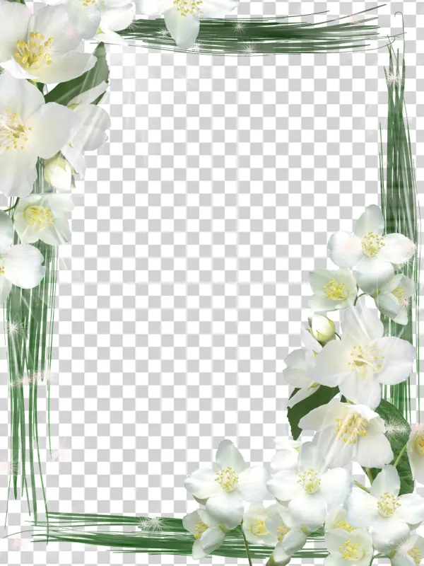 White Frame Png