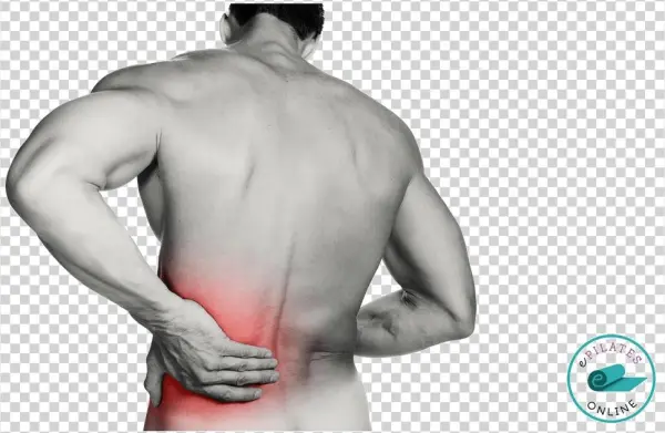 Back Pain Png Transparent Image - Healthmateforever Pro15ab Black Portable Tens Unit