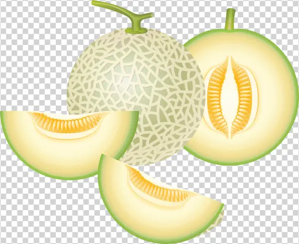 Cantaloupe Png