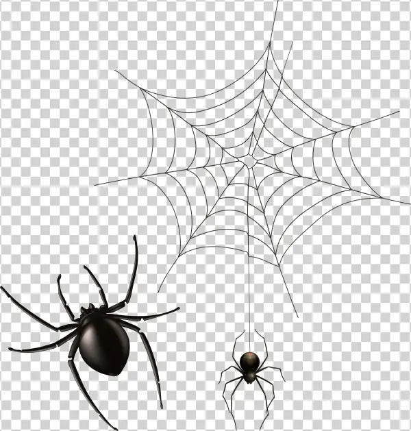 Cobweb Png