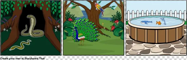 Cool Animals - Illustration