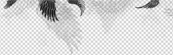 Cropped Wings Sakura Light E1398799142577 - Illustration