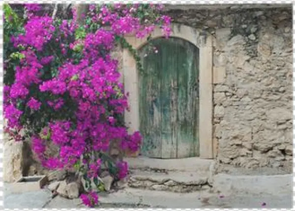 Doors Buganvilla