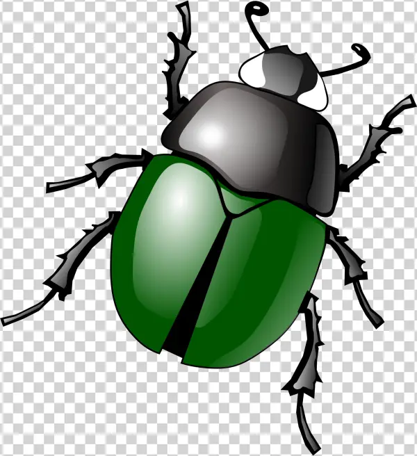 Download Png Image Bug