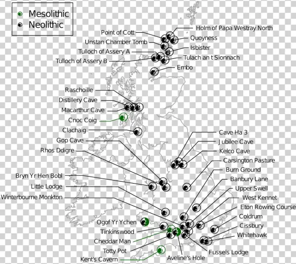 Exciting Preprint Paper From @selbrace @boothicus @chrisstringer65 - Diagram
