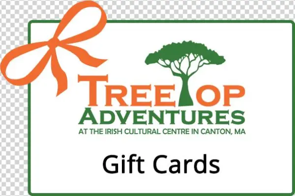 Final Giftcard Image - Copa America Argentina 2011