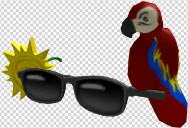 Good Time Glasses - Macaw