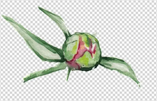 Green Branch Transparent Ornament Material - Flori Mumajesi