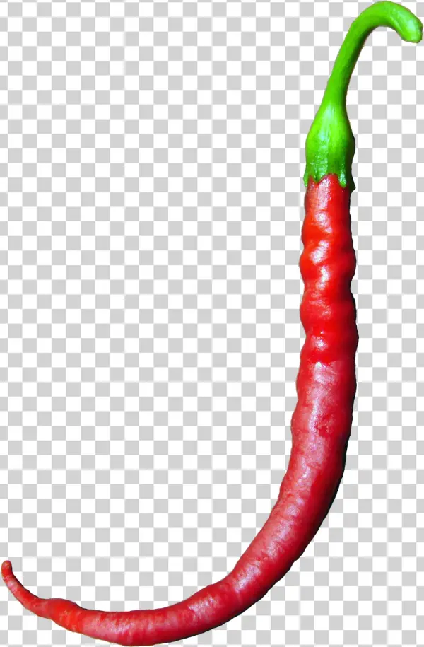 J Pepper Image - Stock.xchng