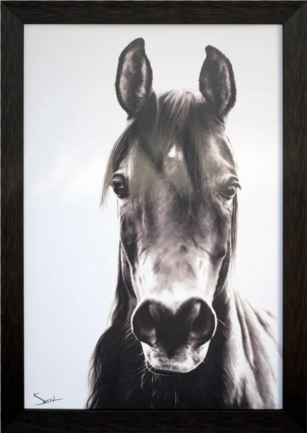 Paragon - Horse Portrait - Brayden Studio 'horse Portrait' Framed Graphic Art