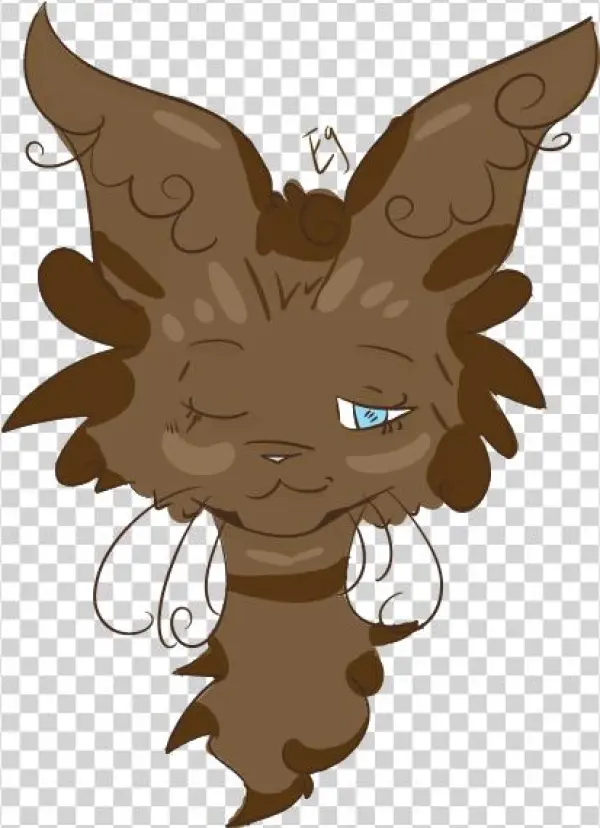 Pinecone - Illustration