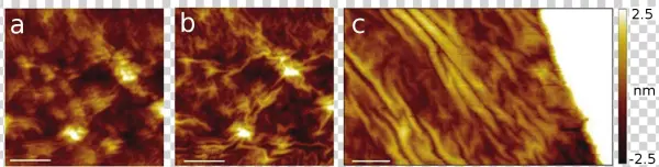 Rippling Of Graphene Induced By Stm Tip - Flame
