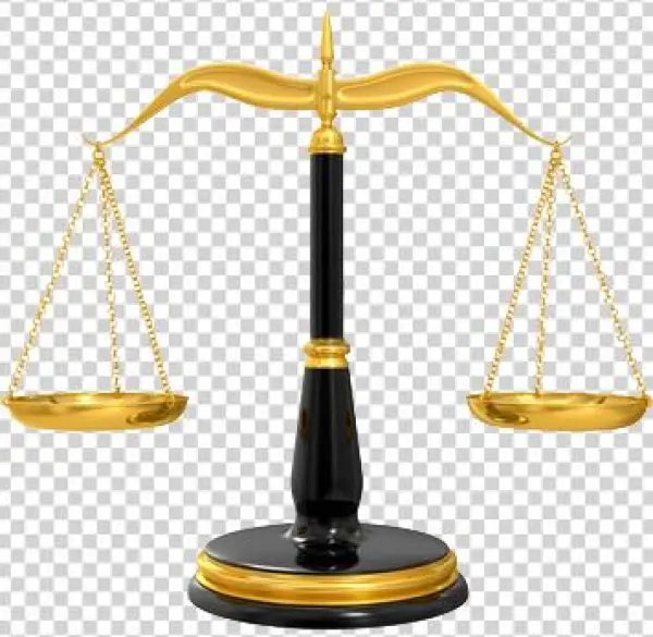 Rough Justice - A True Story [book]