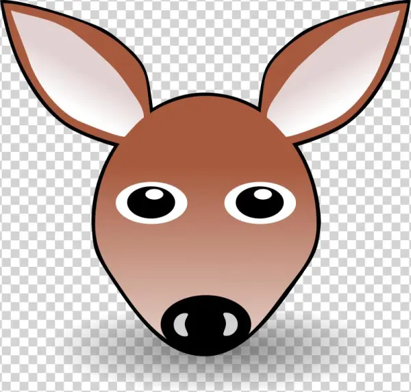 The Brown Deer Of The Funny Cartoon Face - Kangaroo Cartoon Face