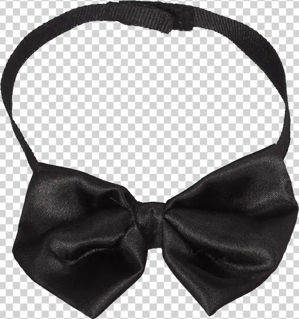 Whatzupwiththat - Fashion Accessory