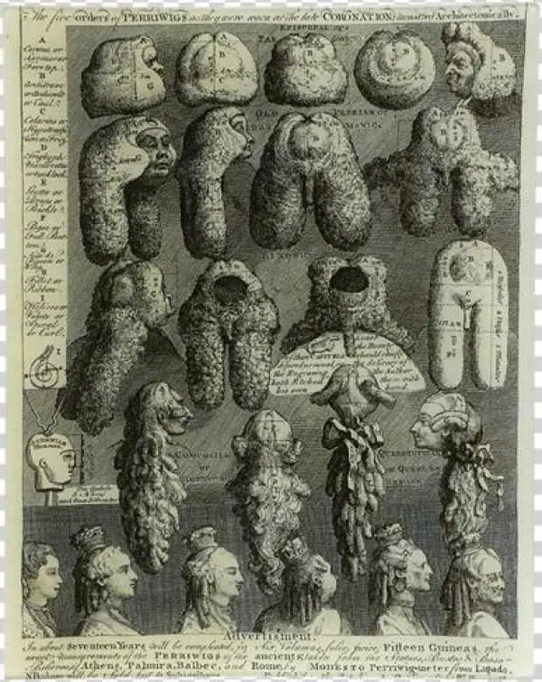 Wigs Wigs - Giclee Painting: Hogarth's The Five Orders Of Periwigs,