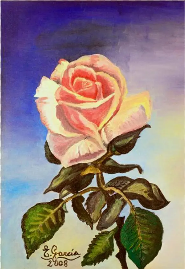 1 Rosa Rosae - Floribunda