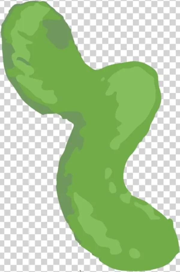 Caterpillar