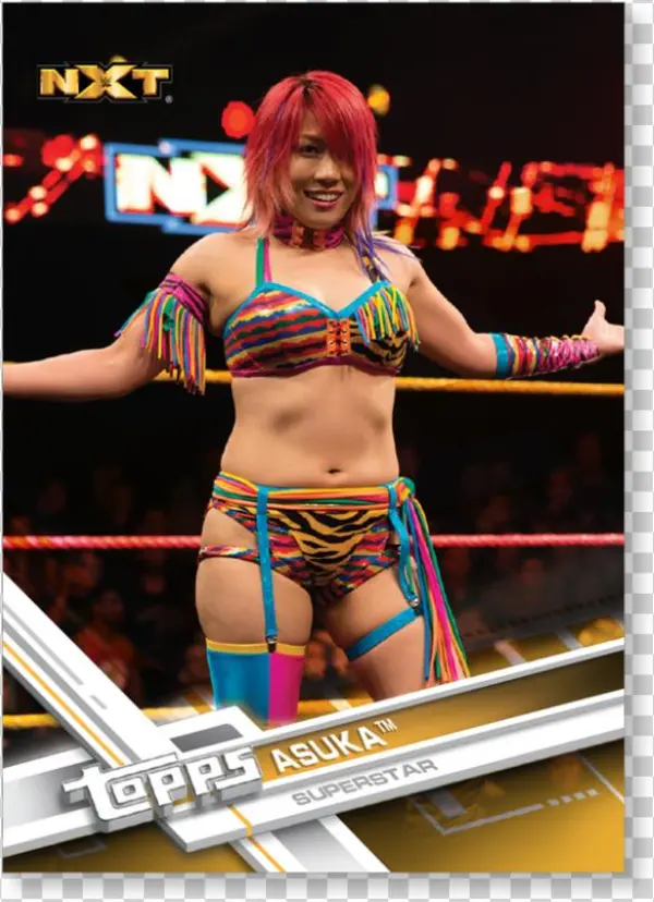 Close Zoom - 100 Random Wwe Trading Card Lot Featuring A Huge Variety
