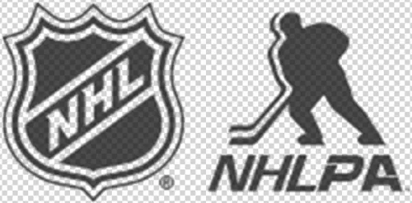 Collegiate Consulting Completes Five Nhl Funded Hockey
