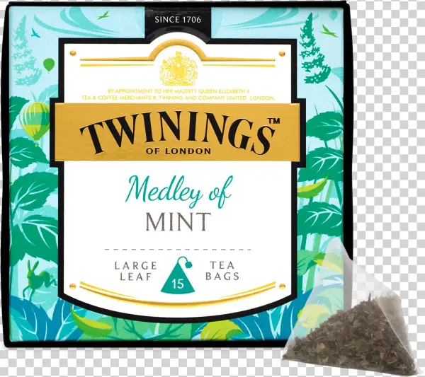 Discovery Collection Medley Of Mint