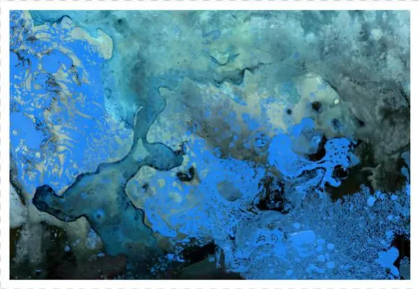 Dunedevil: An Artistic Journey Into Abstraction And