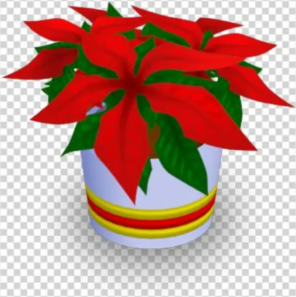 Holiday Flower - Christmas Day