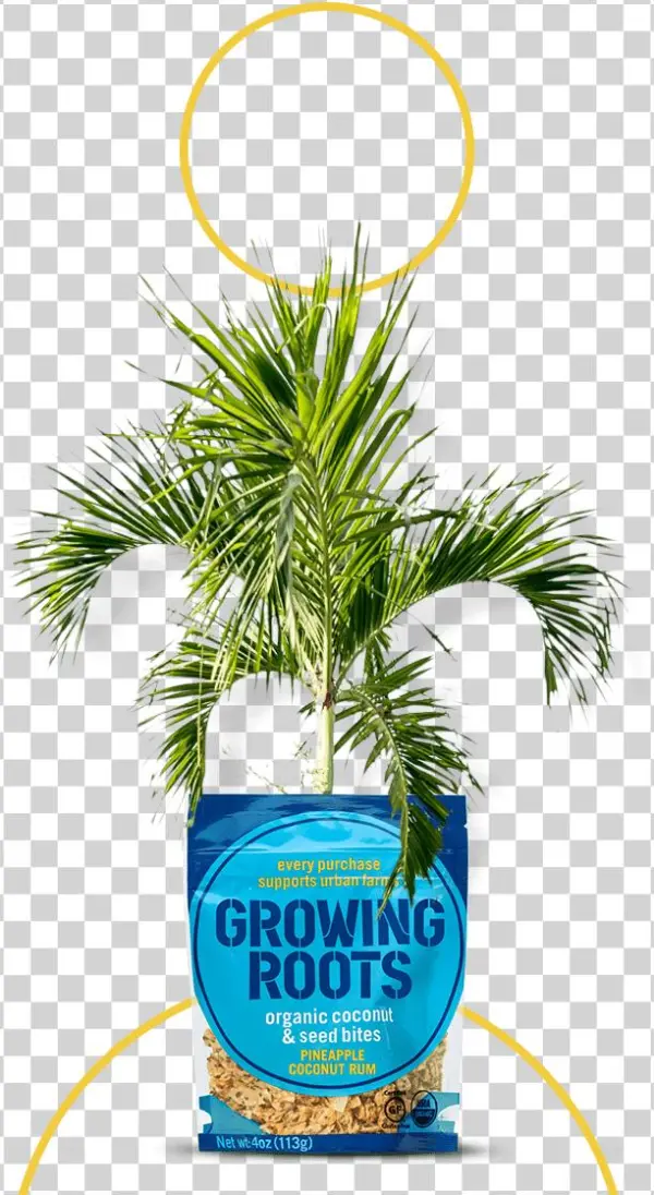 Mission Tree Mission Tree - Tree
