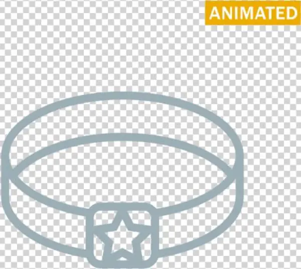 Pet Collar - Bangle