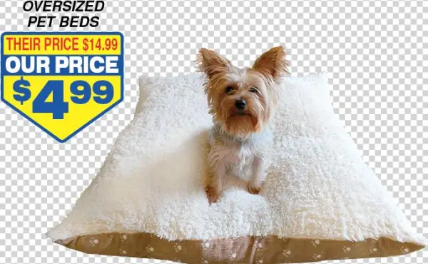 Pets 1