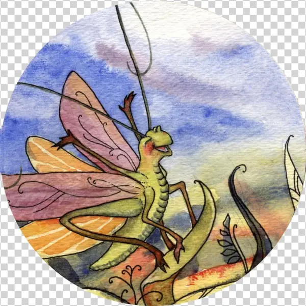 Skippit 3 Ed Circle Small - Fairy
