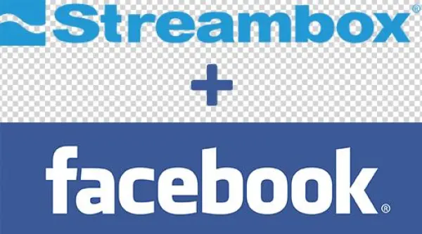 Streambox-logo Facebook - Soft And Cuddly, Mumbles Chubby Honey Bear - (little