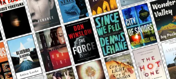 The Best Crime Books Of - Since We Fell: A Novel [book]
