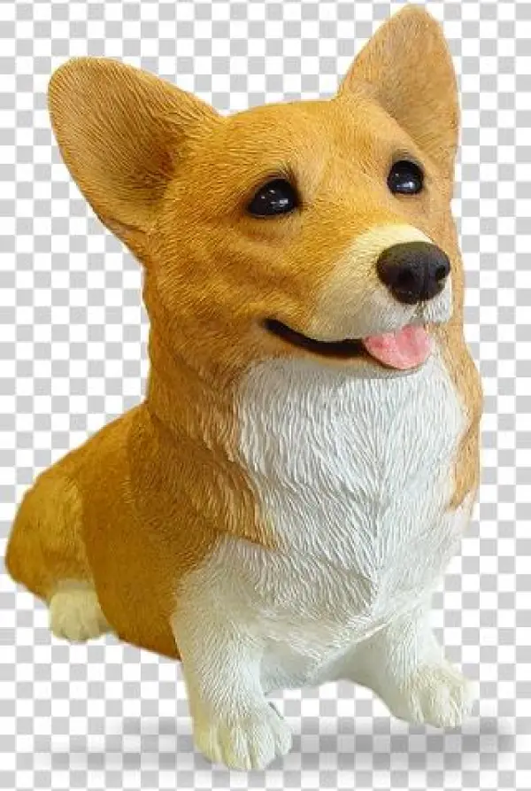 Welsh Corgi, - Dorgi