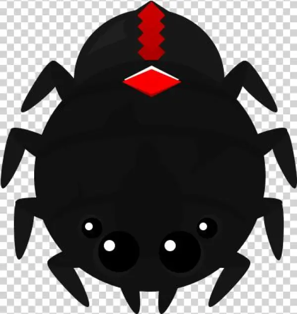 Artisticblack Widow Spider - Cancer