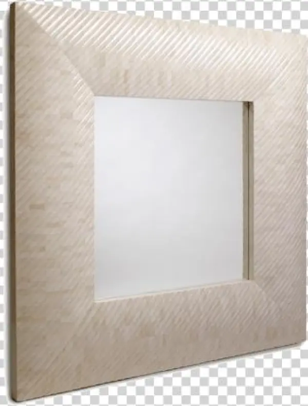 Asprire Bone Mirror
