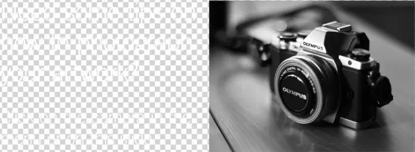 Blanco Y Negro Camara