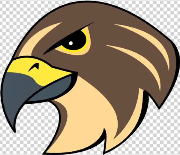 Falcons-logo