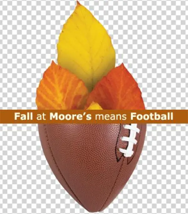 Fall Football Inset - Custom Teslin Full-color Ribbon (3x2.875"), Promotional