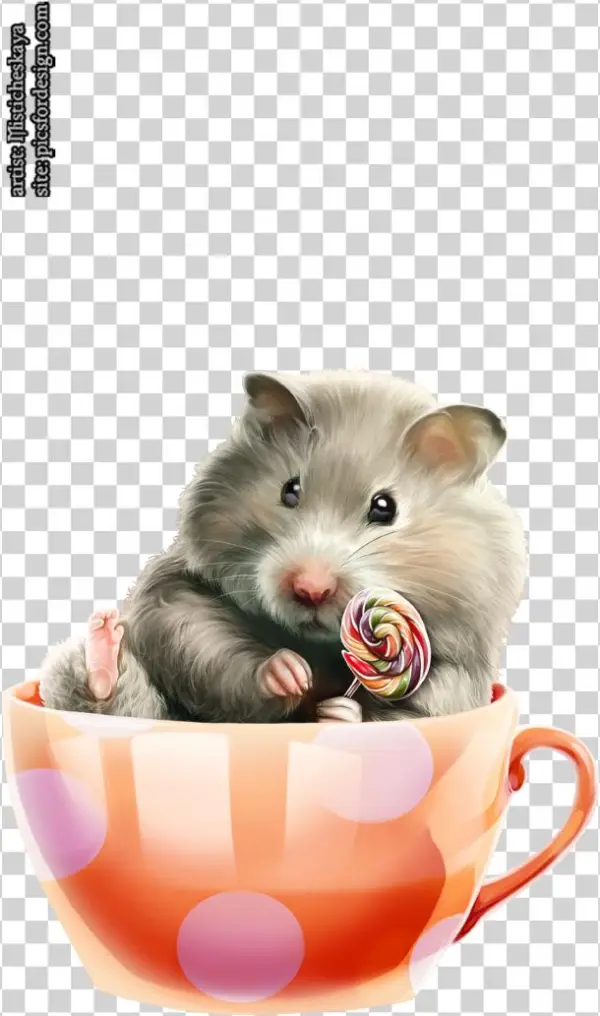 Hamster 50 - Portable Network Graphics