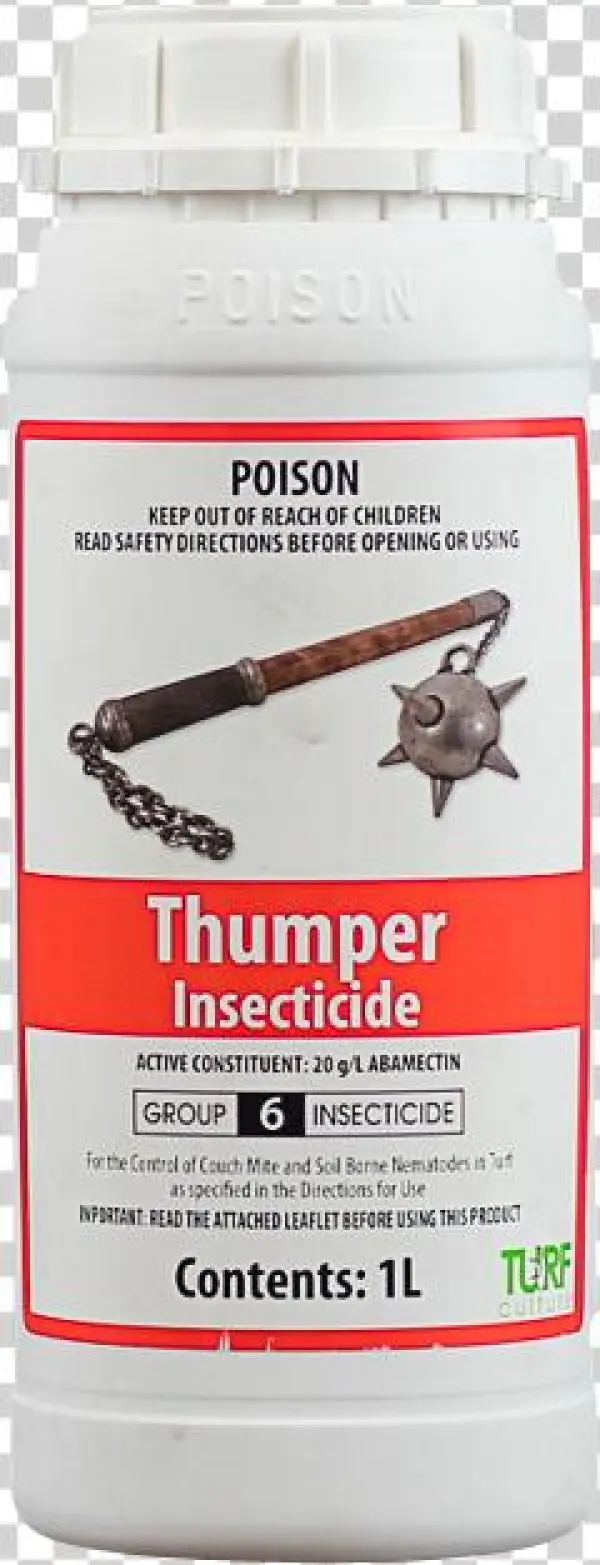 Thumper - Ant
