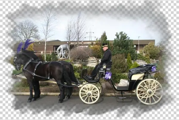 Townies Carriage Hire