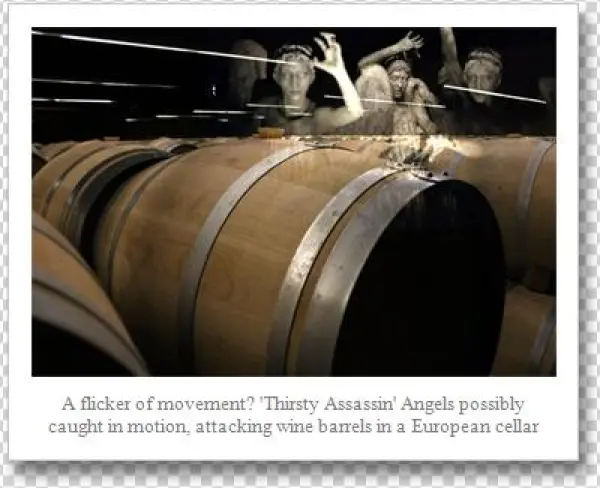 Weepeing Angels Barrels 2 - Wine