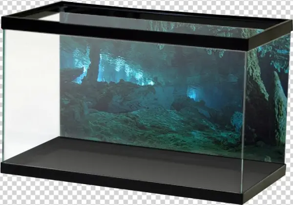 Aquariumvinyl Stalagmightcave