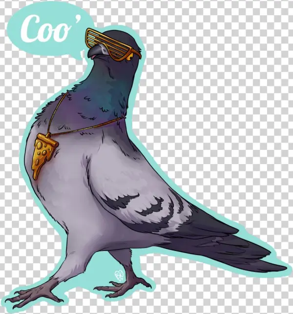 Coopigeon - Portable Network Graphics