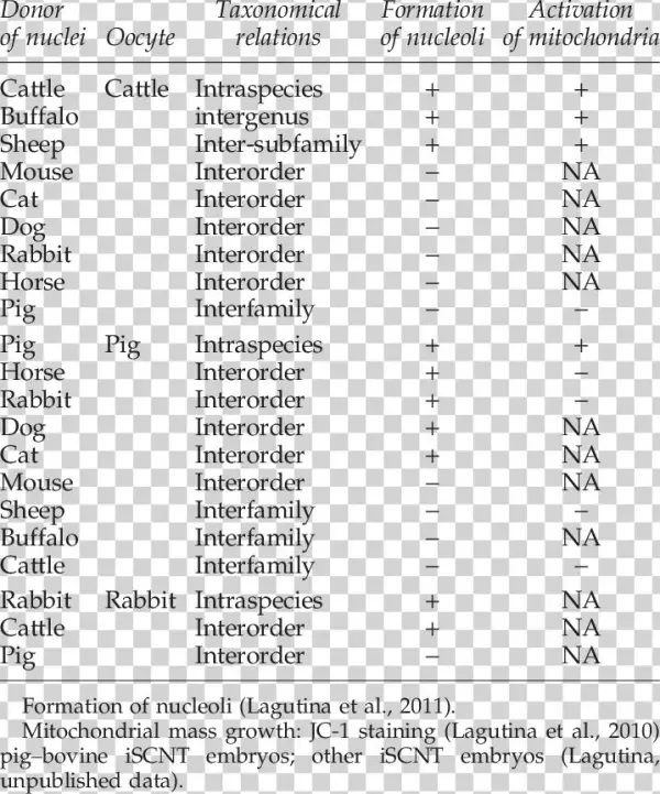Formation Of Nucleoli And Mitochondrial Mass Growth - Document