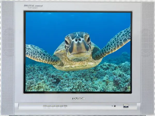 Ktv Tv