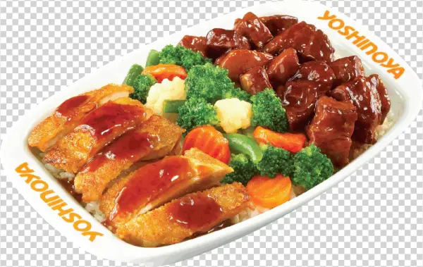 Pork & Chicken Combo - 東 坡 煎 雞 雙 拼 飯